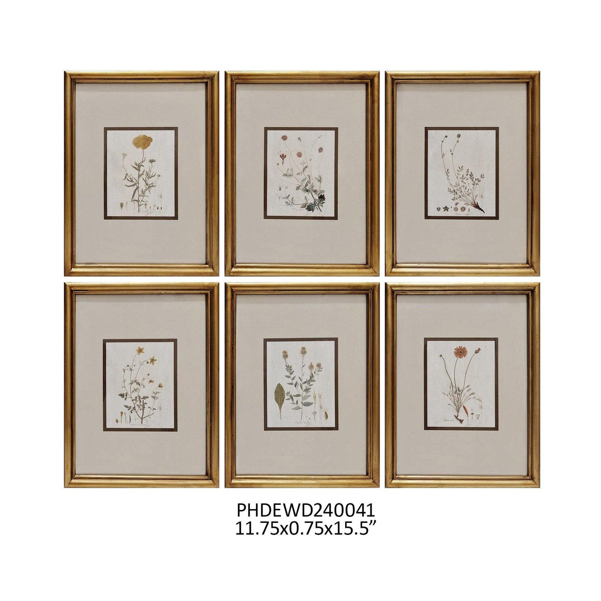 Fleur Sauvage Framed Collection Prints, Set of 6 - Porch View Home