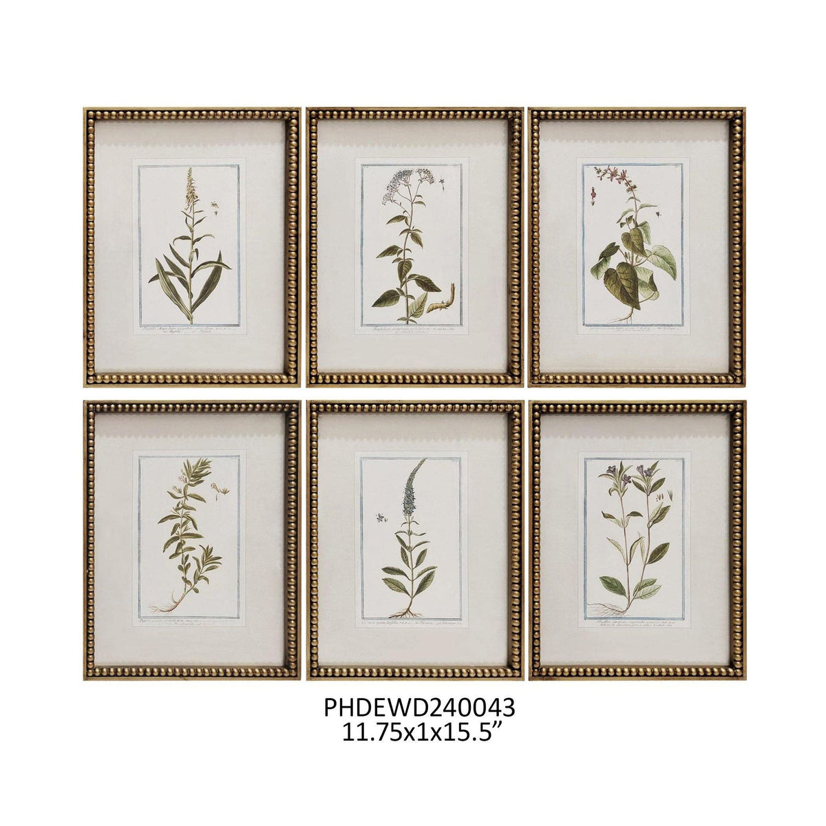 Botanique Collection Framed Prints, Set of 6 - Porch View Home