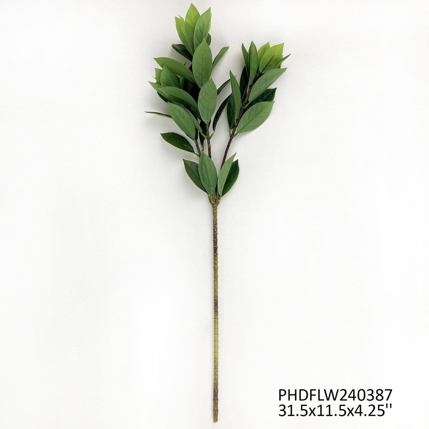 Bay Leaf Branch by Porchview