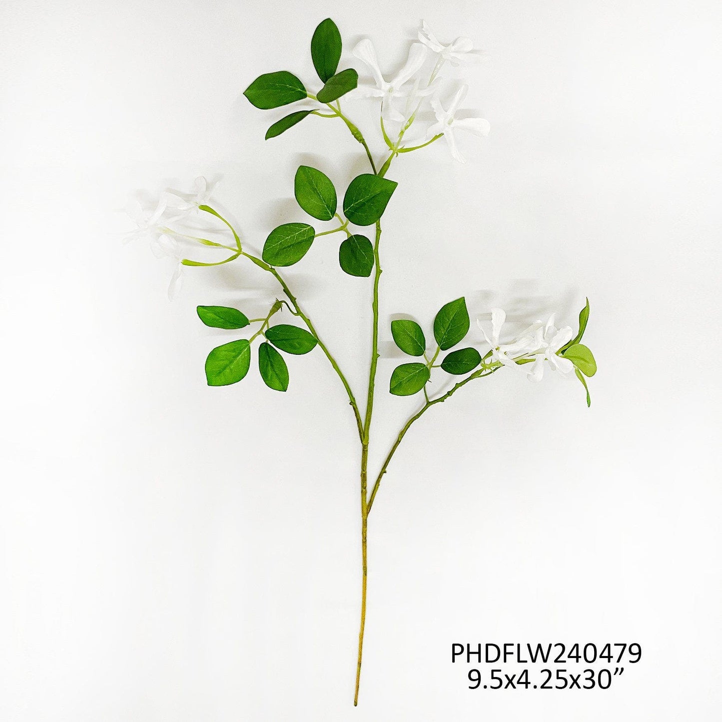 Wild Jasmine by Porchview