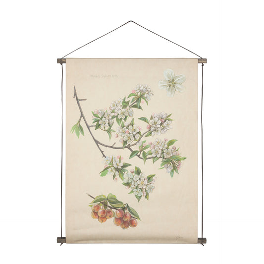 Botanical Study-Malus Sylvestris by Mercana Studio Hand Embellished Textured Framed Art Print