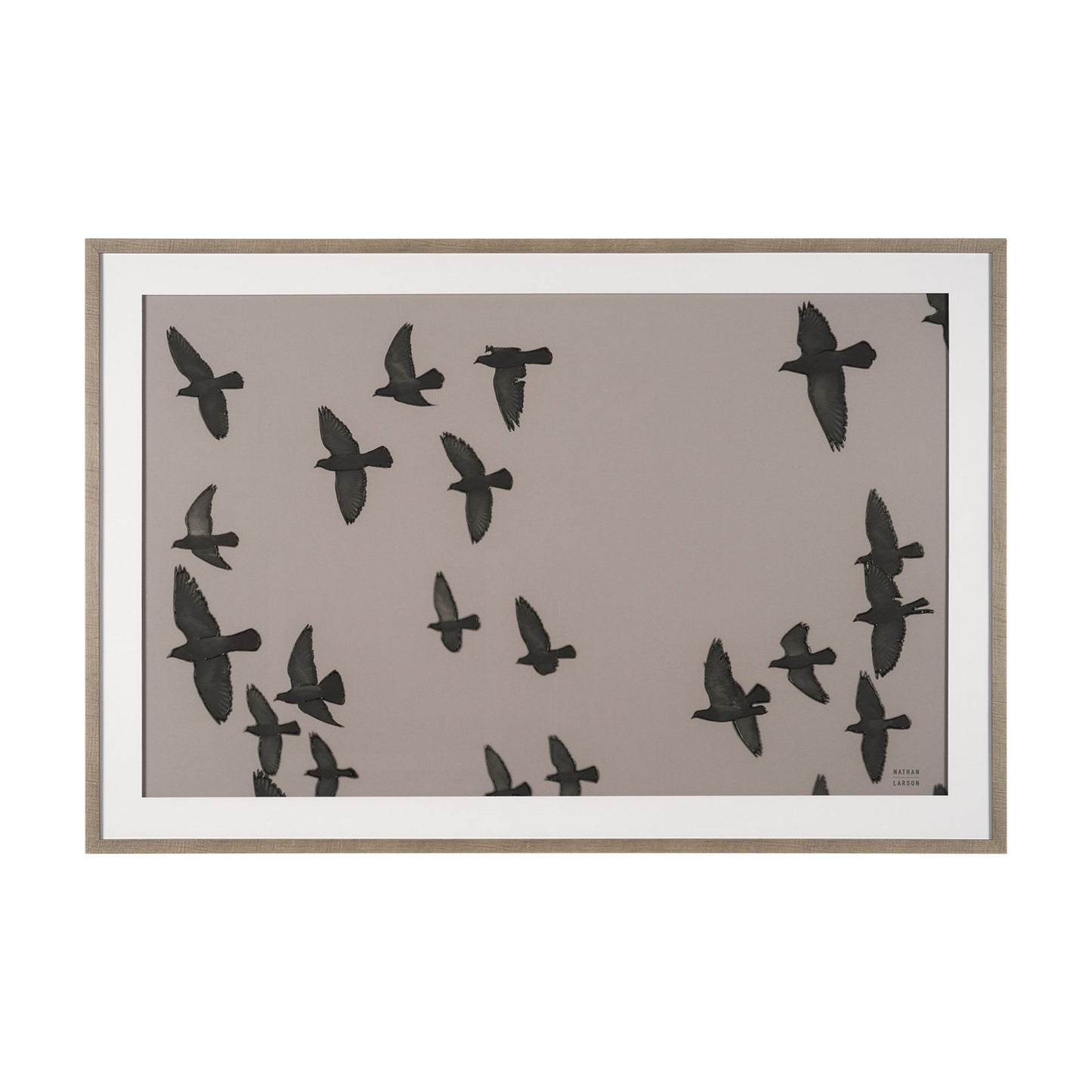 Flock I by Nathan Larson Hand Embellished Framed Photo Print under Glass