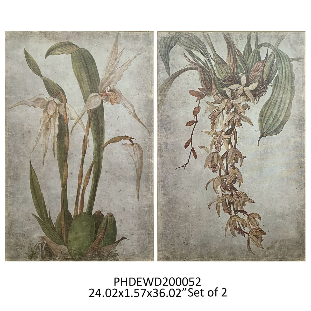 Vanilla Orchid Botanical Prints Set of 2 - Porch View Home