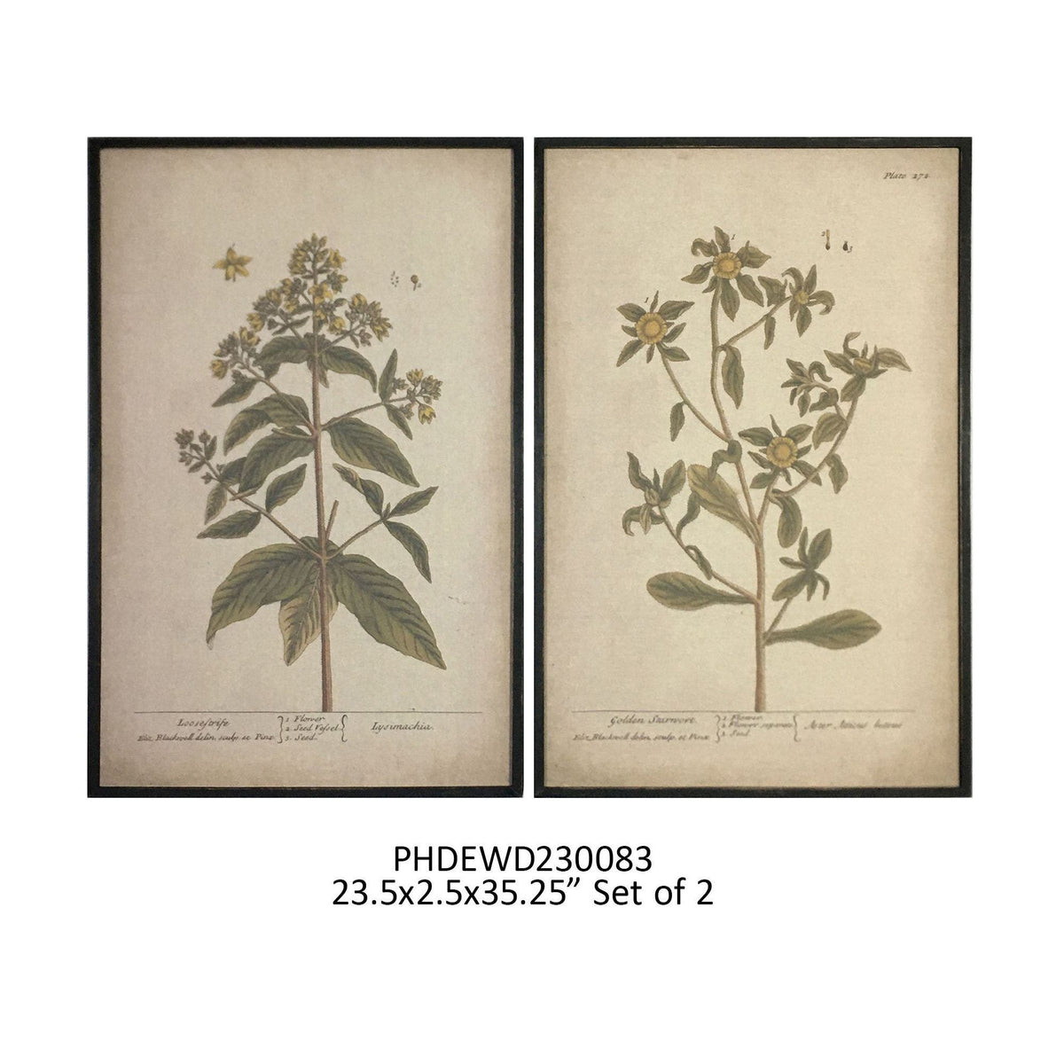 Grand Botanical Prints, Set of 2 - Porch View Home