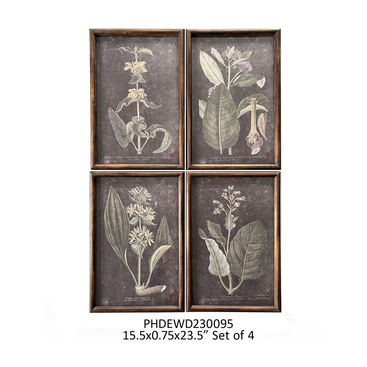 Noir Botanical Prints Set of 4 - Porch View Home