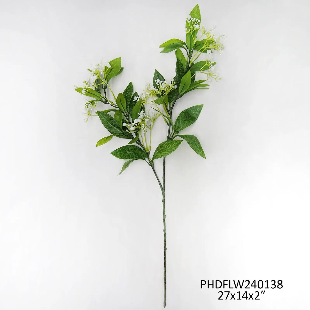 Blooming Bay Leaf Stem