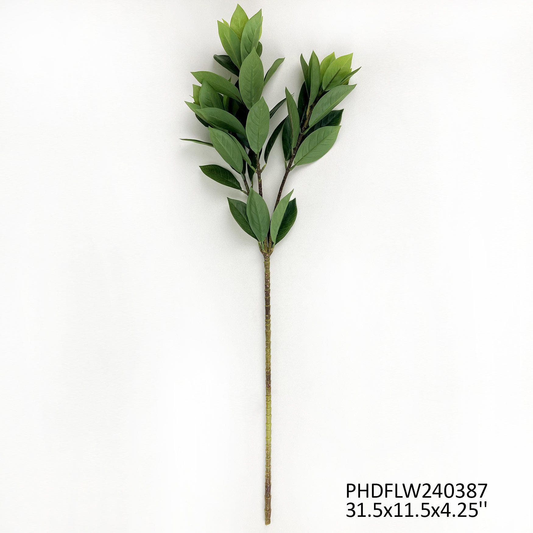 Bay Leaf Branch by Porchview
