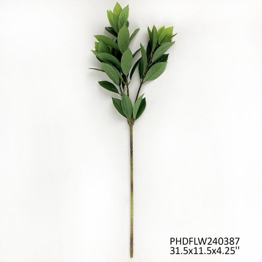 Bay Leaf Branch by Porchview