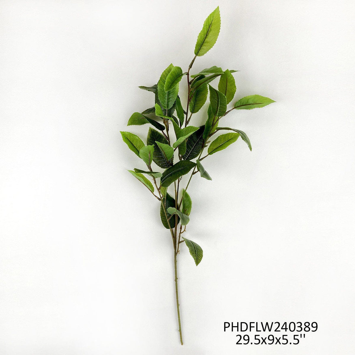 Osmanthus Stem - Porch View Home