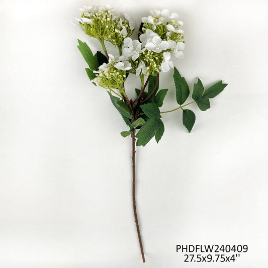 Lace Cap Hydrangea - White by Porchview
