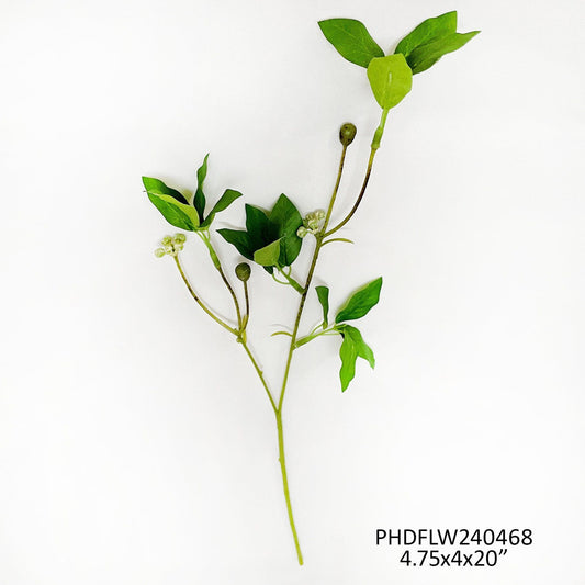 Woodland Foliage by Porchview