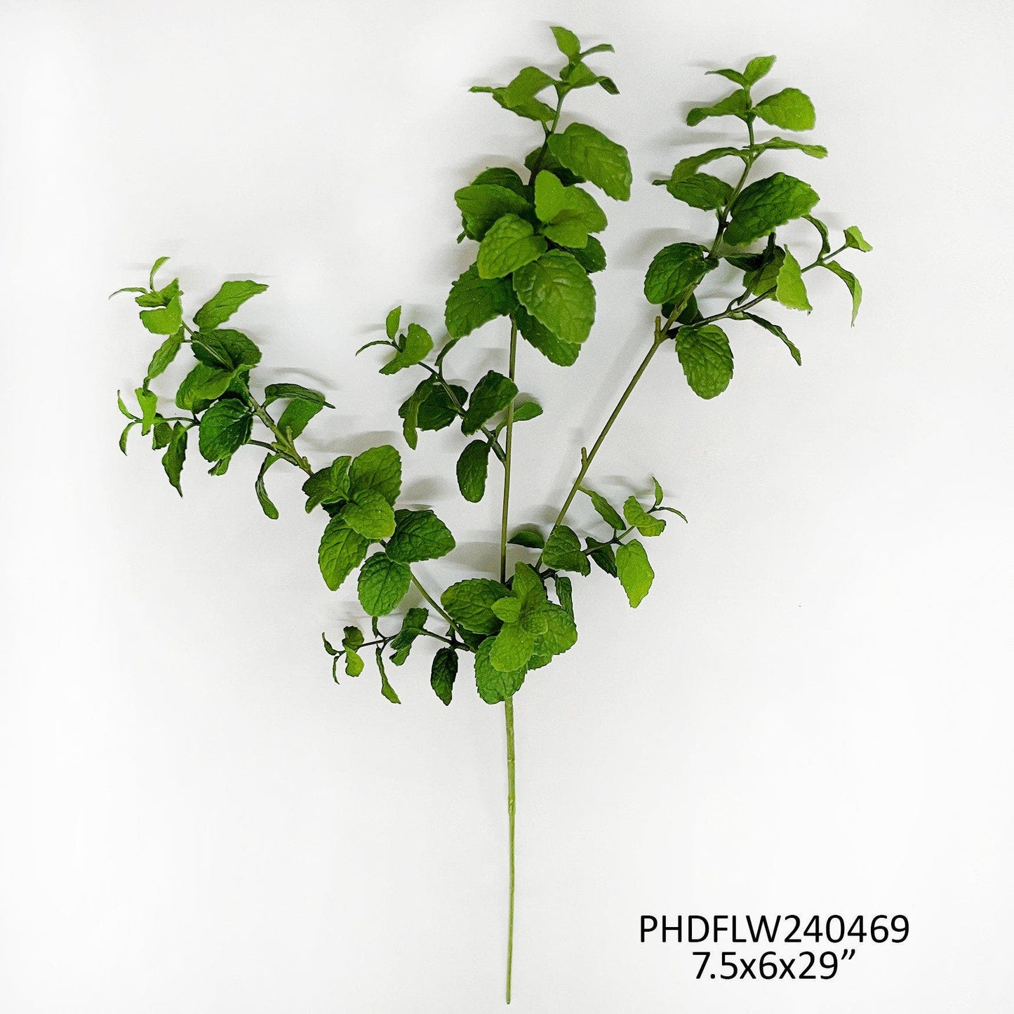 Garden Mint Stem by Porchview