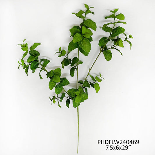 Garden Mint Stem by Porchview