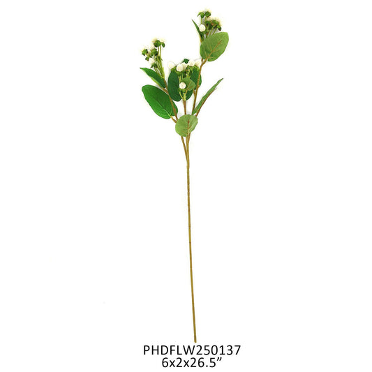 White Hypericum Berry by Porchview - view 2