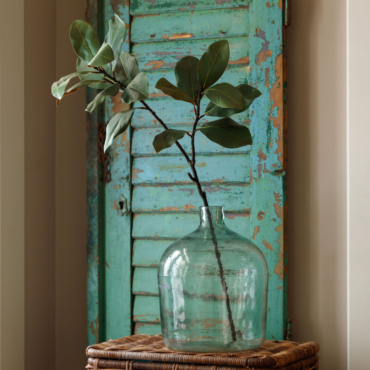 Southern Magnolia Branch - Porch View Home