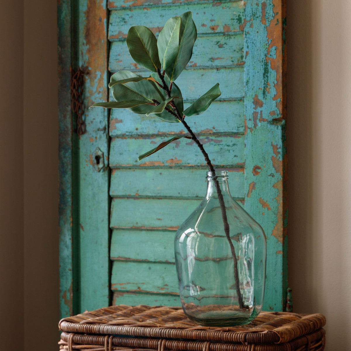 Southern Magnolia Stem - Porch View Home