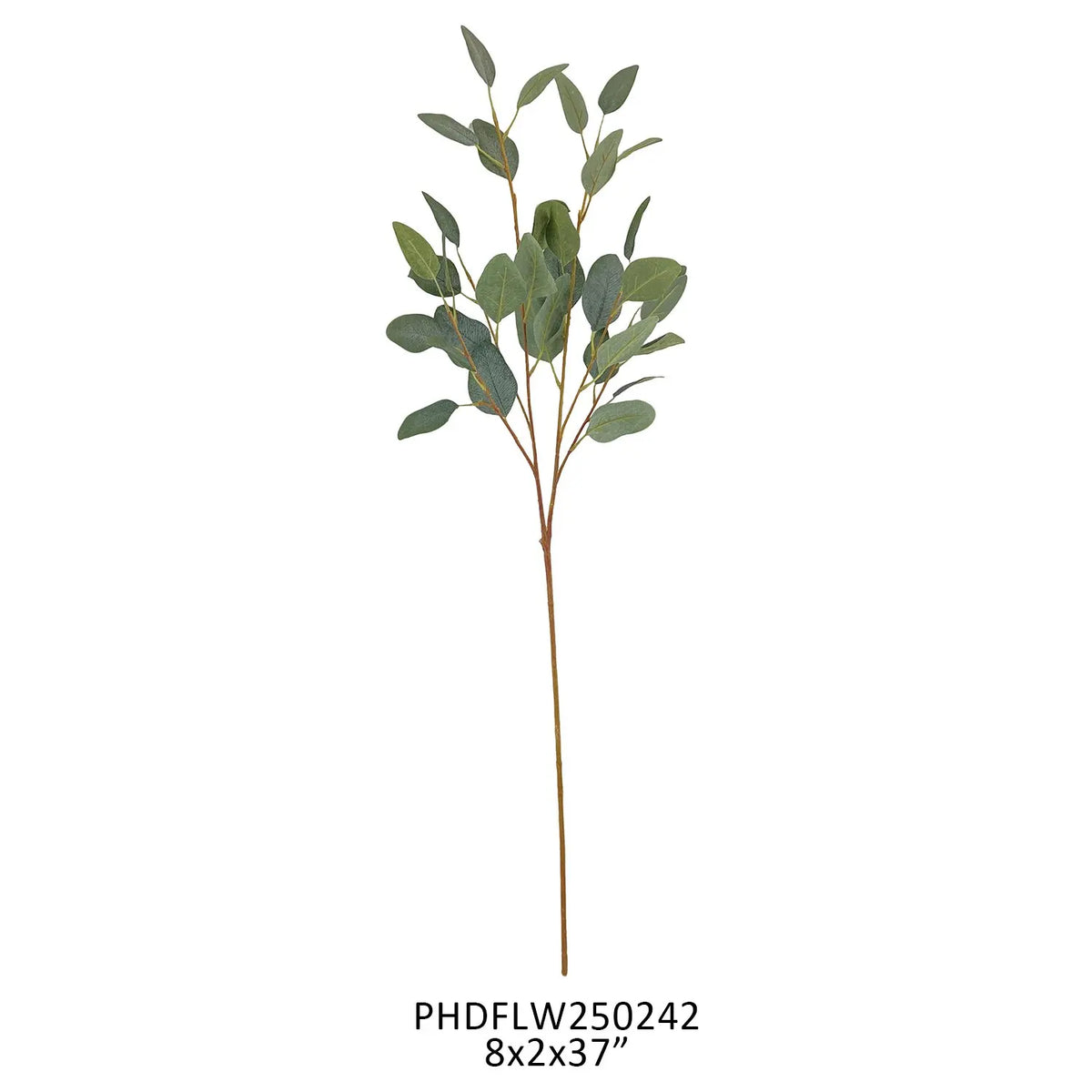 Australian Blue Gum Eucalyptus Stem