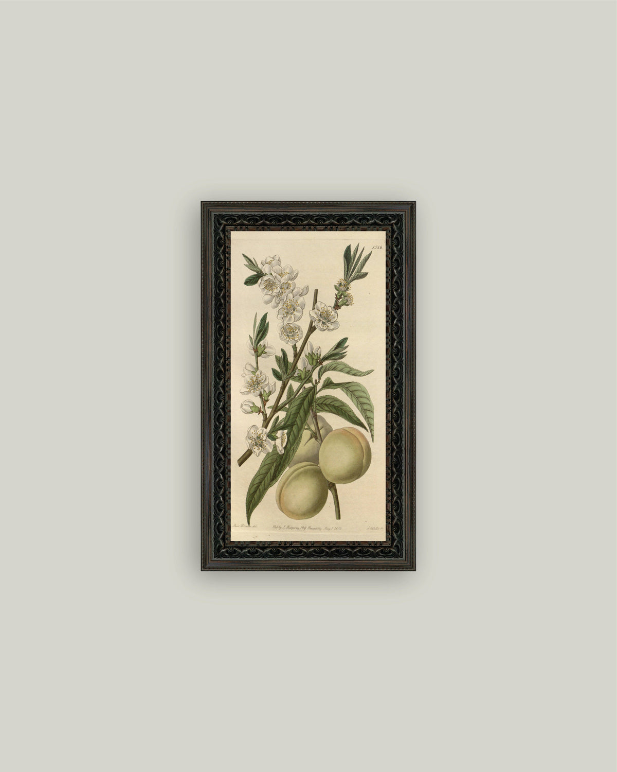 The White Peach — 7x12 — Petal Lane Home
