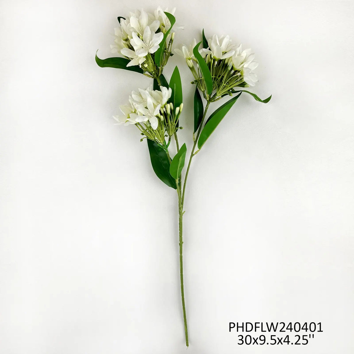 White Heavenly Jasmin #1