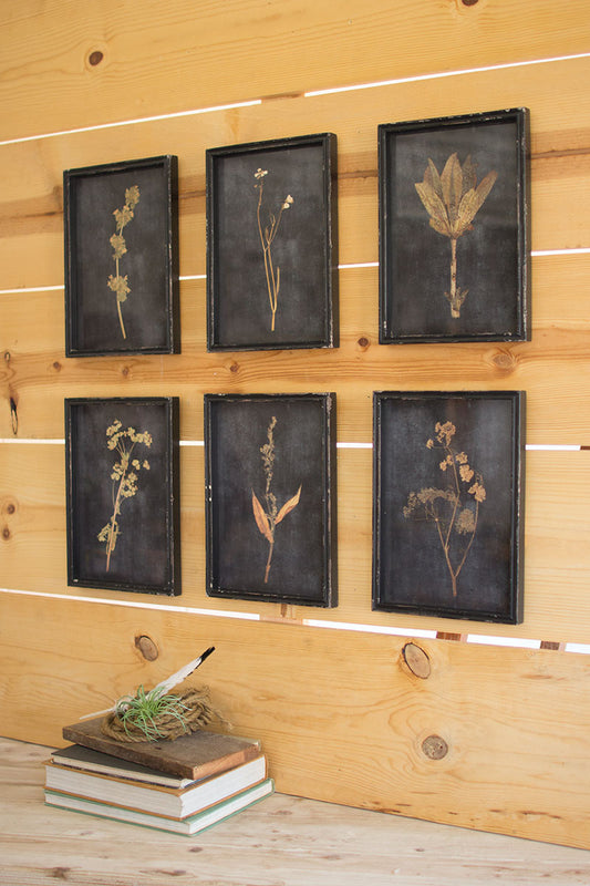 Set of 6 Botanical Prints Under Glass